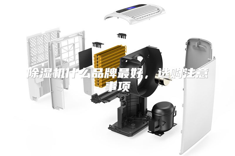 除湿机什么品牌最好，选购注意事项