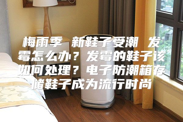 梅雨季 新鞋子受潮 发霉怎么办？发霉的鞋子该如何处理？电子防潮箱存储鞋子成为流行时尚
