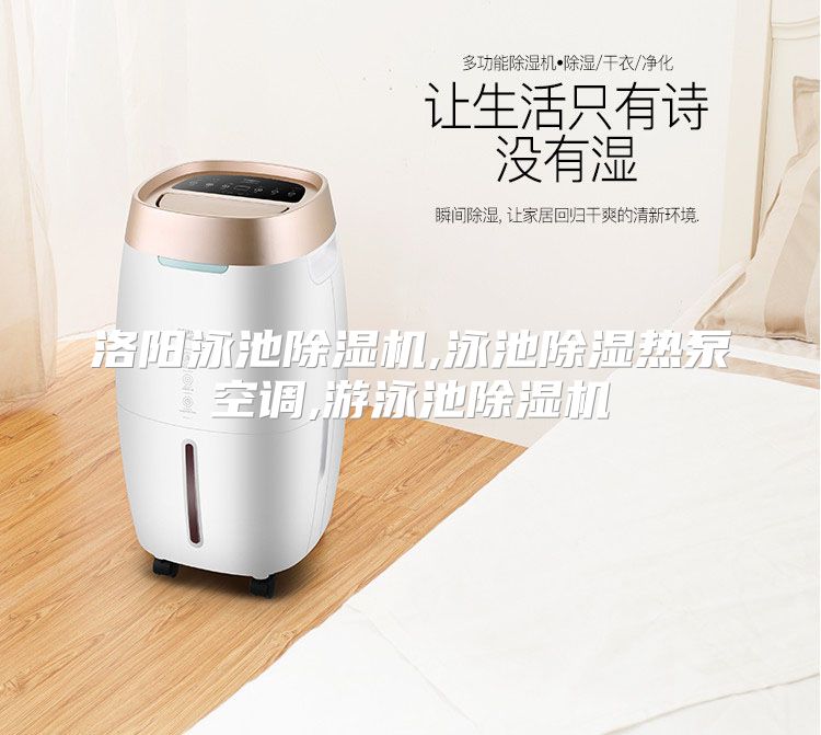 洛阳泳池除湿机,泳池除湿热泵空调,游泳池除湿机