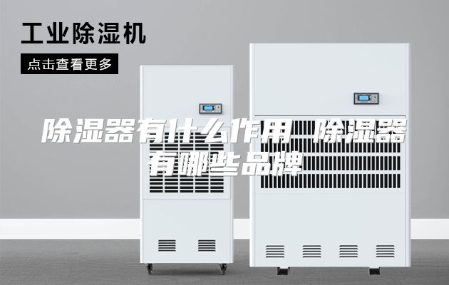 除湿器有什么作用 除湿器有哪些品牌