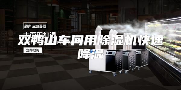 双鸭山车间用除湿机快速降湿