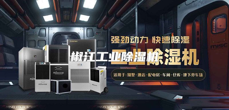 椒江工业除湿机
