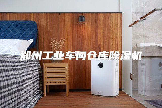 郑州工业车间仓库除湿机