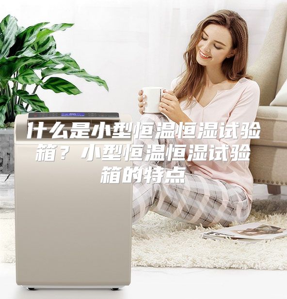 什么是小型恒温恒湿试验箱？小型恒温恒湿试验箱的特点