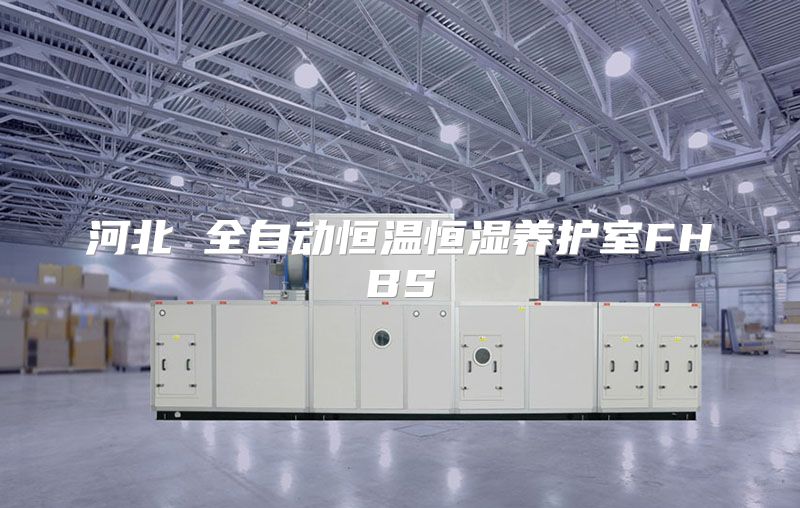 河北 全自动恒温恒湿养护室FHBS