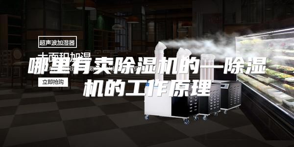 哪里有卖除湿机的—除湿机的工作原理