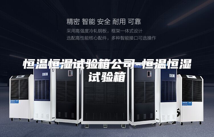 恒温恒湿试验箱公司-恒温恒湿试验箱