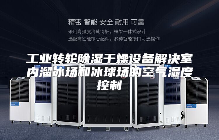 工业转轮除湿干燥设备解决室内溜冰场和冰球场的空气湿度控制