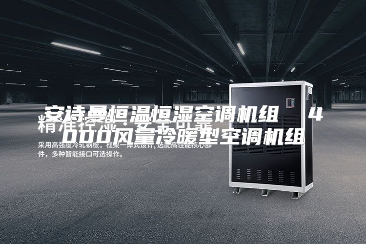 安诗曼恒温恒湿空调机组 4000风量冷暖型空调机组
