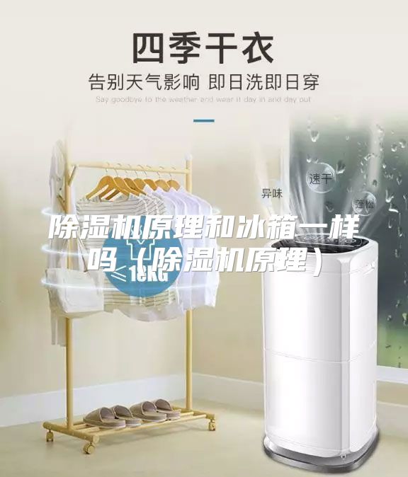 除湿机原理和冰箱一样吗（除湿机原理）
