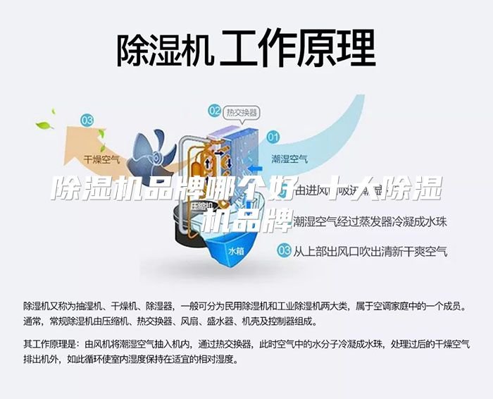 除湿机品牌哪个好 十大除湿机品牌