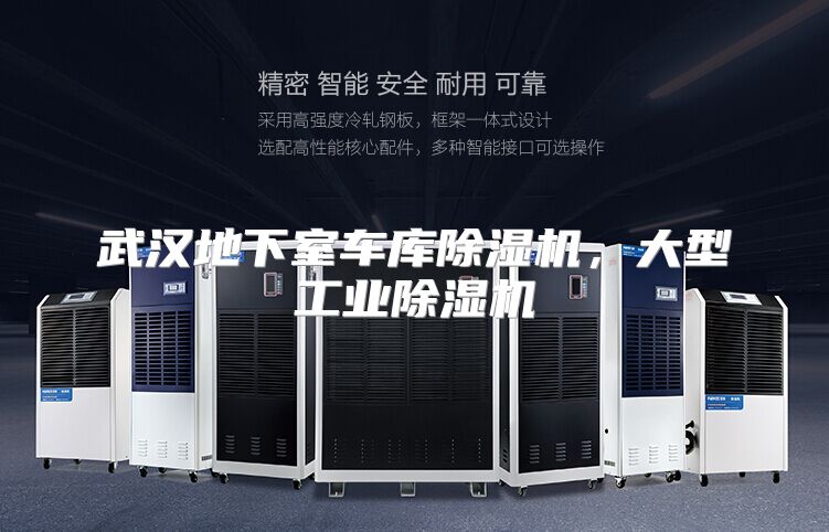 武汉地下室车库除湿机，大型工业除湿机