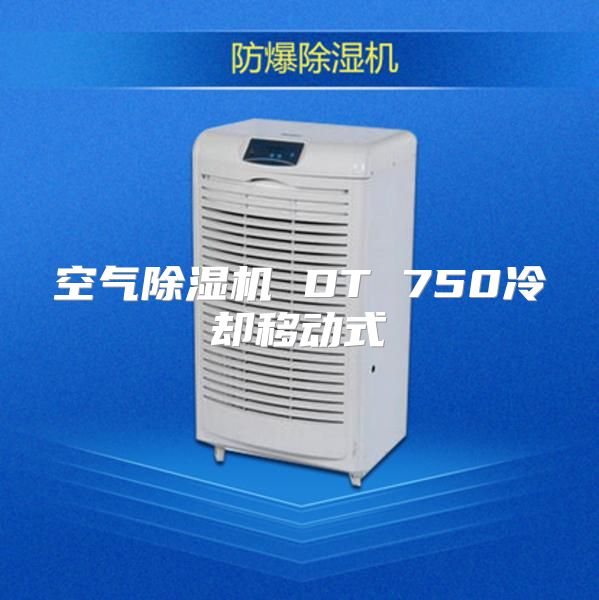 空气除湿机 DT 750冷却移动式