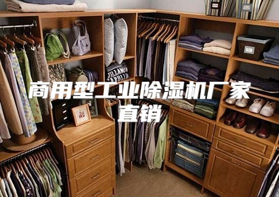 商用型工业除湿机厂家直销