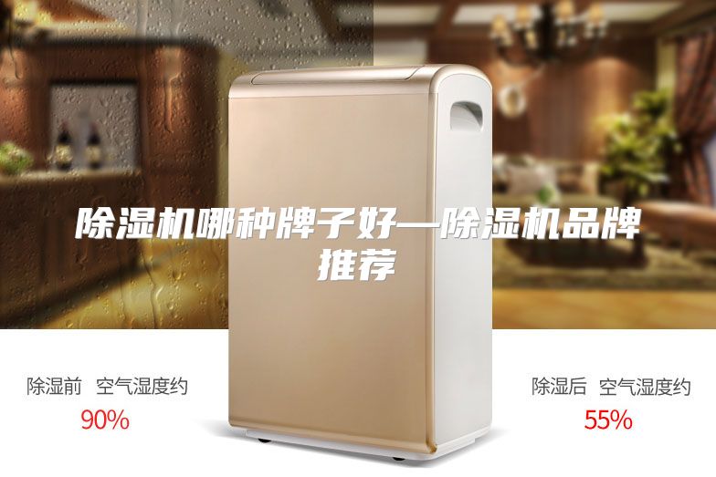 除湿机哪种牌子好—除湿机品牌推荐