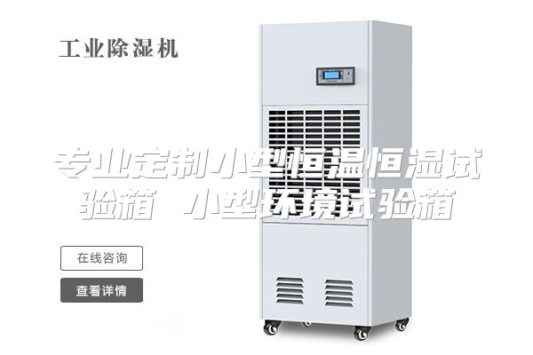专业定制小型恒温恒湿试验箱 小型环境试验箱