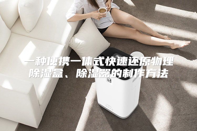 一种便携一体式快速还原物理除湿盒、除湿器的制作方法