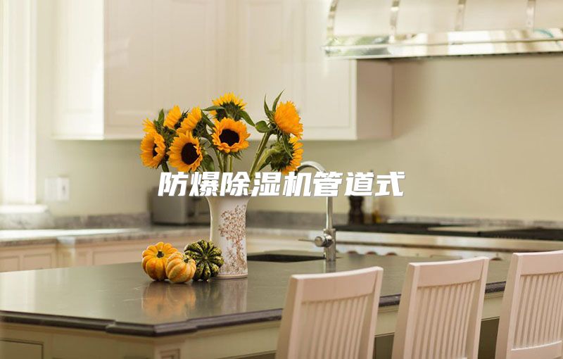 防爆除湿机管道式
