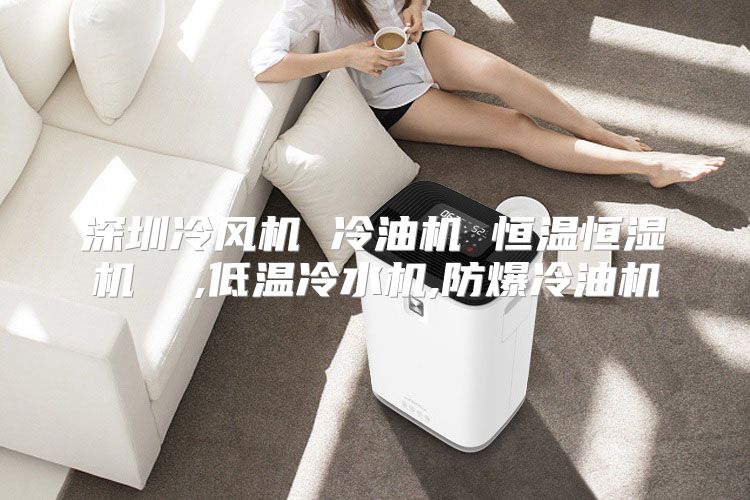 深圳冷风机 冷油机 恒温恒湿机  ,低温冷水机,防爆冷油机