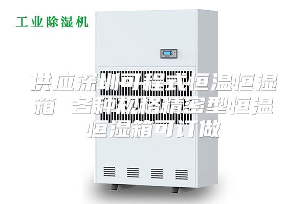 供应深圳可程式恒温恒湿箱 各种规格精密型恒温恒湿箱可订做