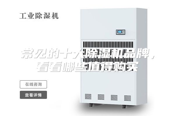 常见的十大除湿机品牌，看看哪些值得购买