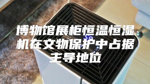 博物馆展柜恒温恒湿机在文物保护中占据主导地位