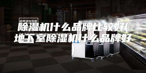 除湿机什么品牌比较好(地下室除湿机什么品牌好)