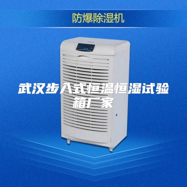 武汉步入式恒温恒湿试验箱厂家