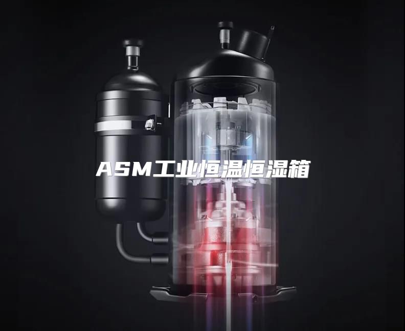 ASM工业恒温恒湿箱