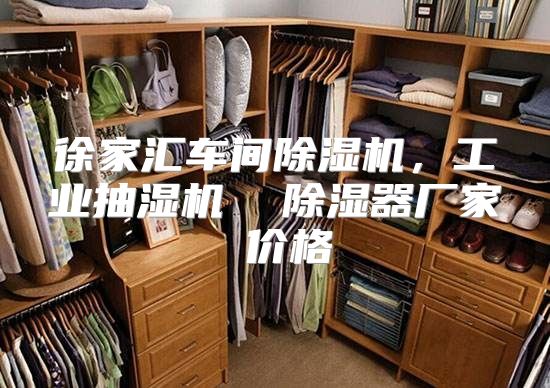 徐家汇车间除湿机，工业抽湿机  除湿器厂家 价格