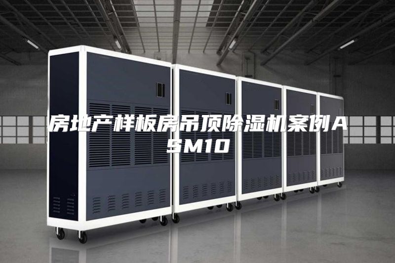 房地产样板房吊顶除湿机案例ASM10