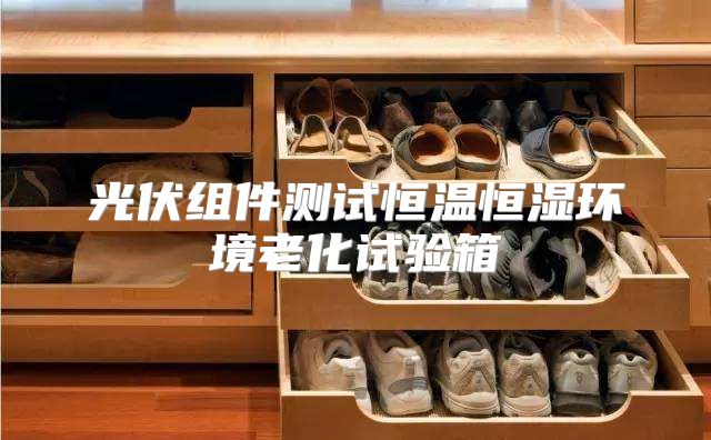 光伏组件测试恒温恒湿环境老化试验箱