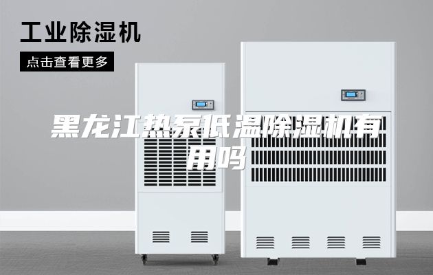 黑龙江热泵低温除湿机有用吗