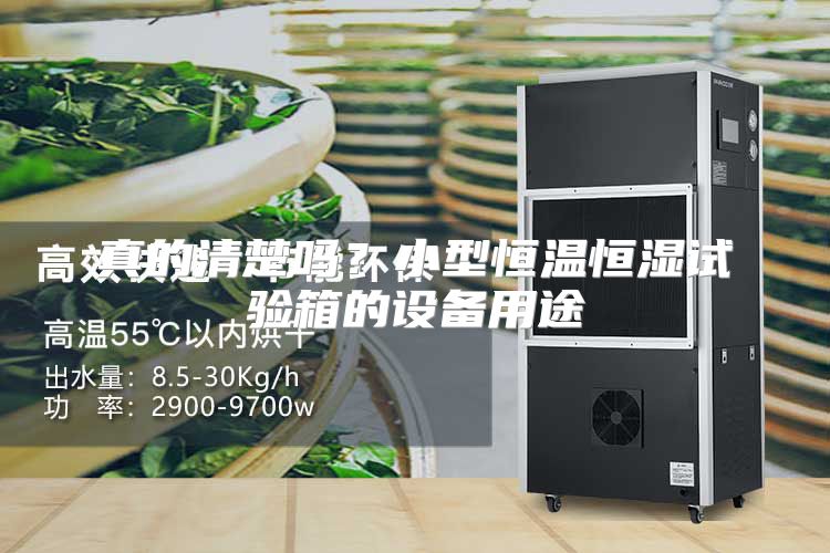 真的清楚吗?小型恒温恒湿试验箱的设备用途