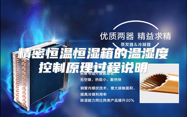 精密恒温恒湿箱的温湿度控制原理过程说明