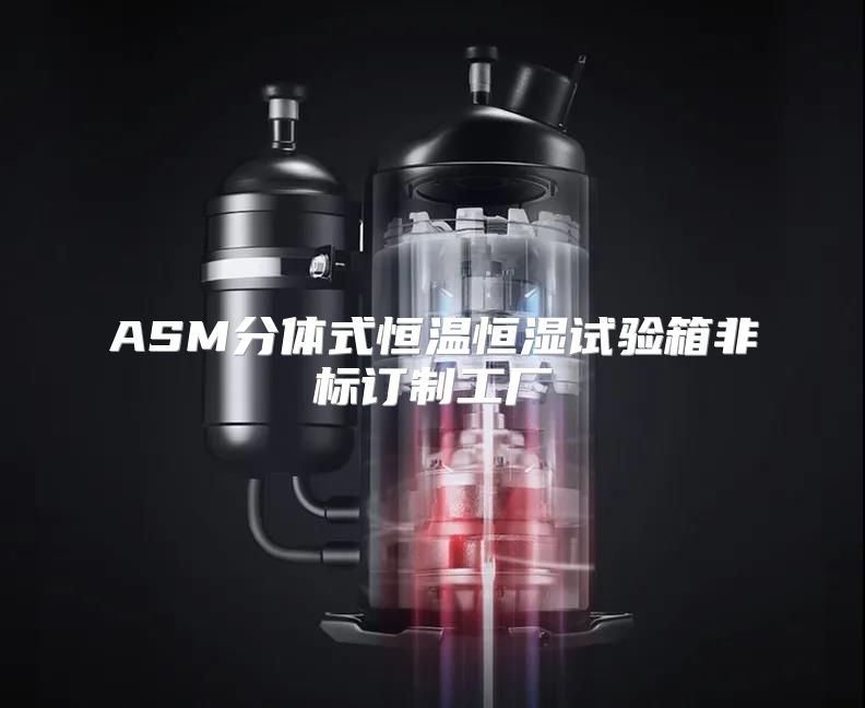 ASM分体式恒温恒湿试验箱非标订制工厂