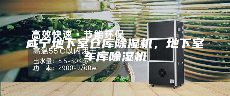 咸宁地下室仓库除湿机，地下室车库除湿机