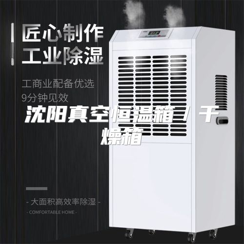 沈阳真空恒温箱／干燥箱