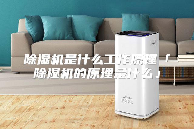 除湿机是什么工作原理「除湿机的原理是什么」