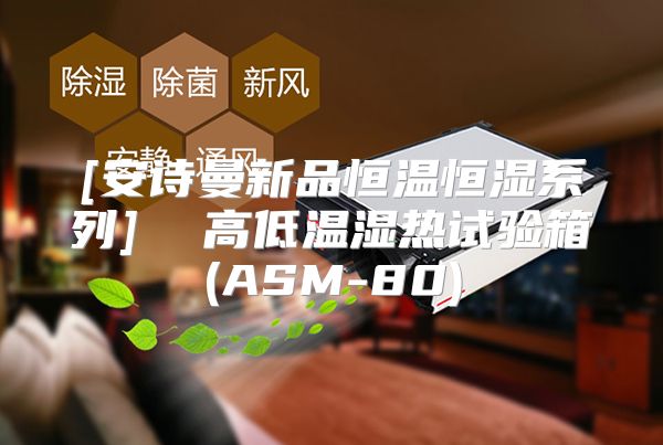 [安诗曼新品恒温恒湿系列]  高低温湿热试验箱(ASM-80)