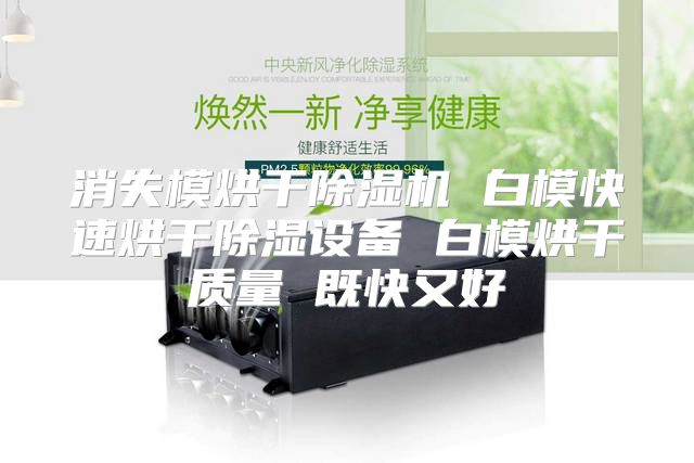 消失模烘干除湿机 白模快速烘干除湿设备 白模烘干质量 既快又好