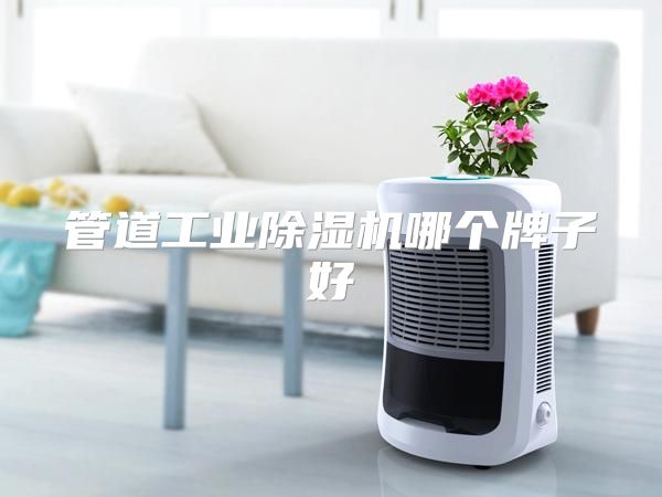管道工业除湿机哪个牌子好