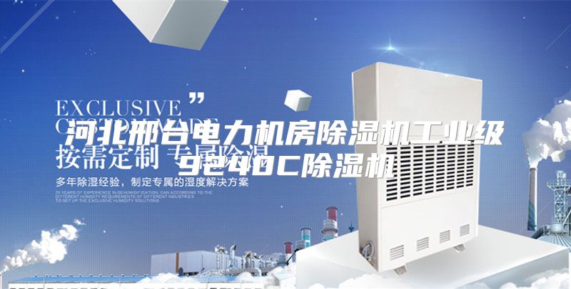 河北邢台电力机房除湿机工业级9240C除湿机