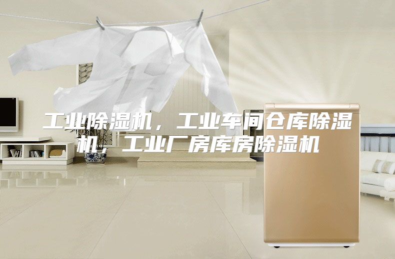 工业除湿机,工业车间仓库除湿机,工业厂房库房除湿机