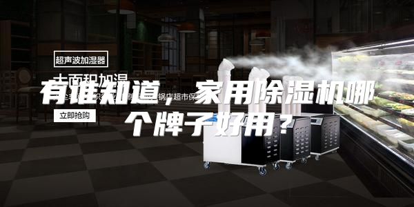 有谁知道,家用除湿机哪个牌子好用?
