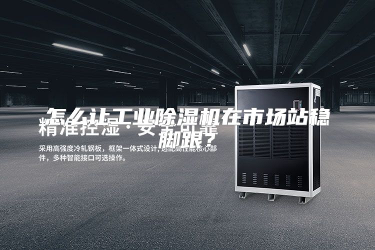 怎么让工业除湿机在市场站稳脚跟？