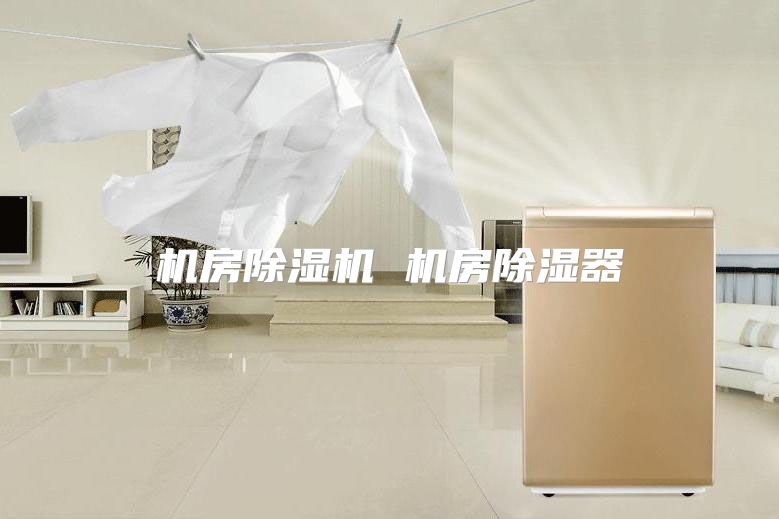 机房除湿机 机房除湿器