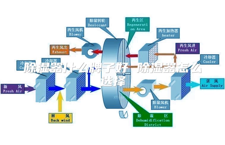 除湿器什么牌子好 除湿器怎么选择