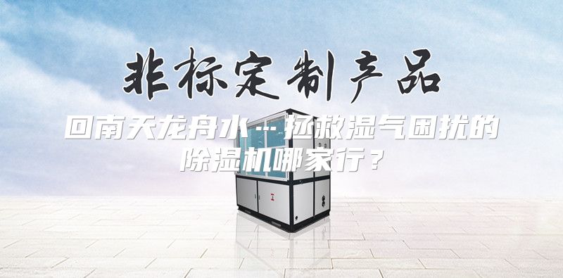 回南天龙舟水…拯救湿气困扰的除湿机哪家行？
