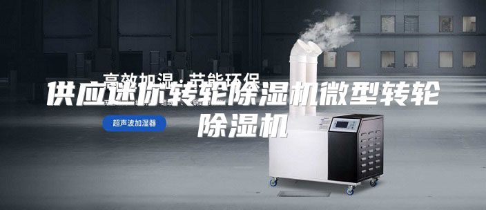 供应迷你转轮除湿机微型转轮除湿机